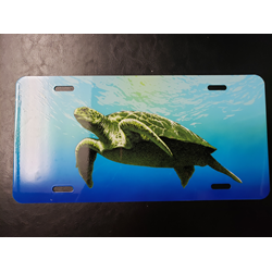License Plate Turtle